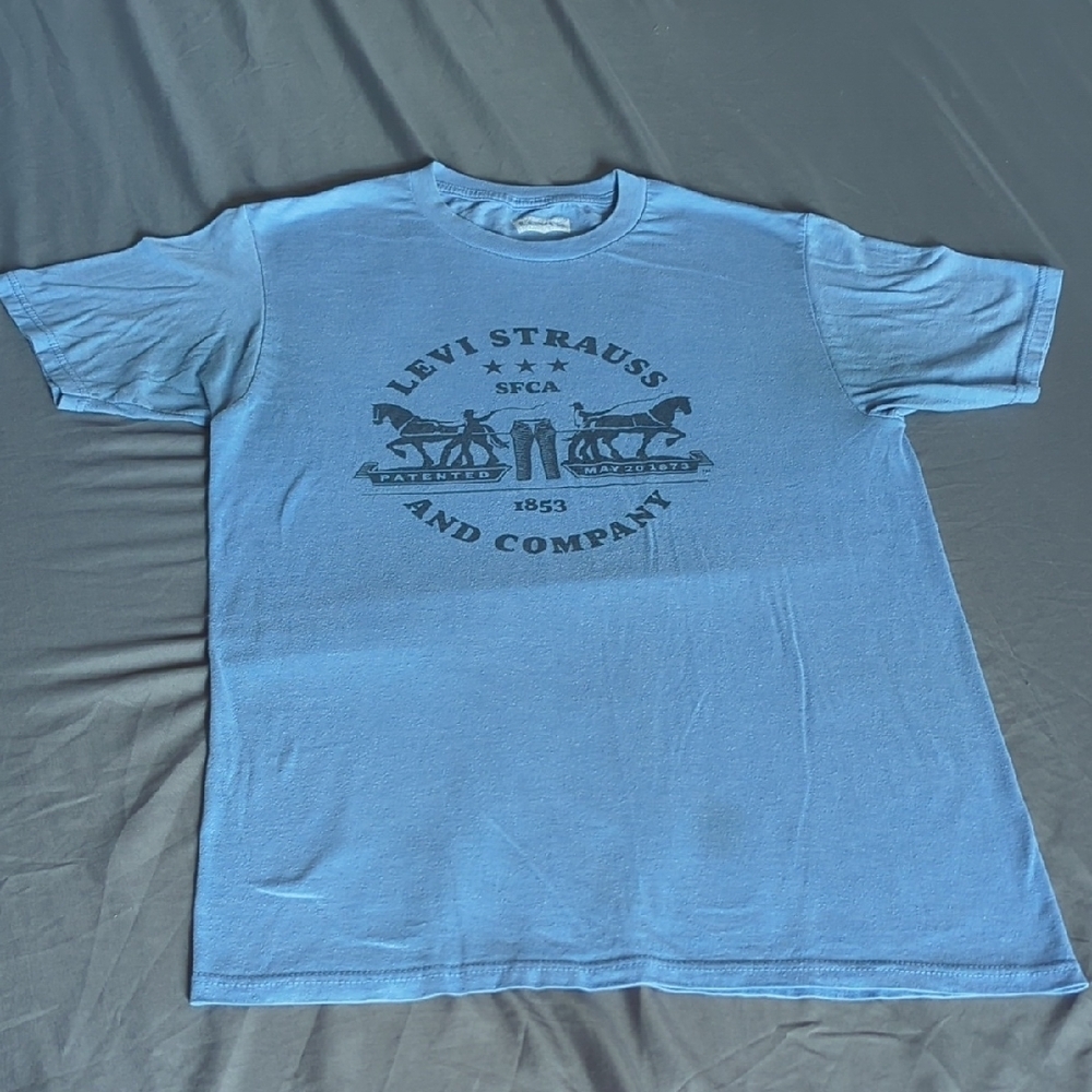 Levi's Blue Men's T-Shirt